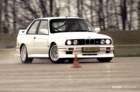 mpn_3981copy_small.jpg