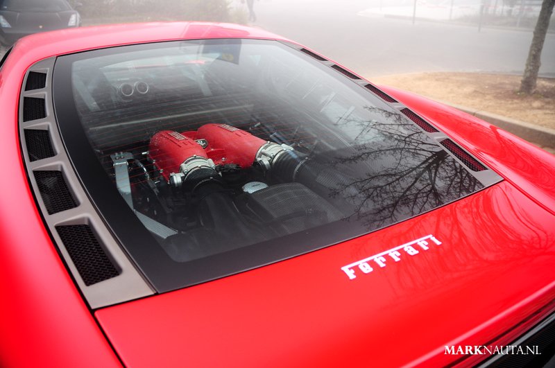 mpn_1733copy.jpg