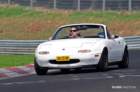 mpn_2135copy_small.jpg